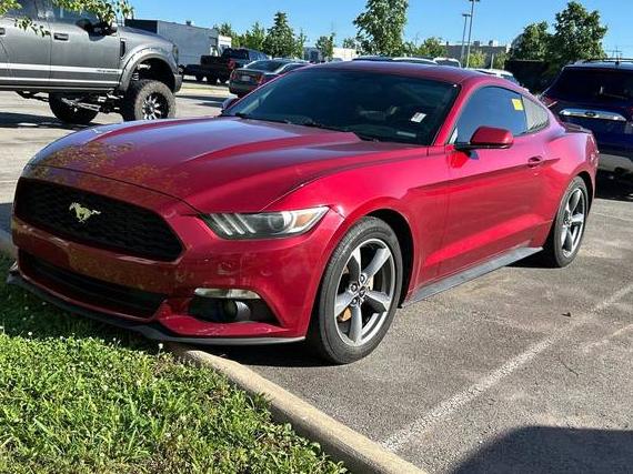 FORD MUSTANG 2016 1FA6P8AM8G5289055 image