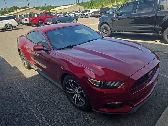 FORD MUSTANG 2016 1FA6P8TH3G5305968 image