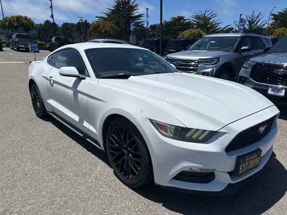 FORD MUSTANG 2016 1FA6P8AM2G5257251 image