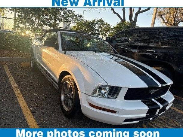 FORD MUSTANG 2008 1ZVHT84N185181202 image