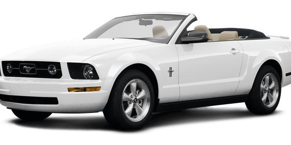 FORD MUSTANG 2008 1ZVHT84N085159823 image