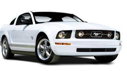 FORD MUSTANG 2008 1ZVHT82H585205840 image