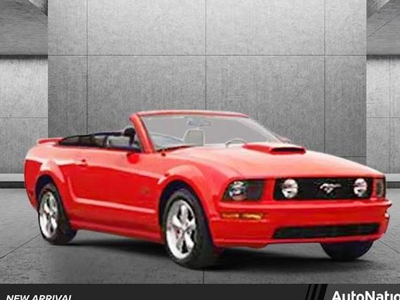 FORD MUSTANG 2008 1ZVHT85H685172391 image