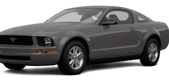FORD MUSTANG 2008 1ZVHT80N985129323 image