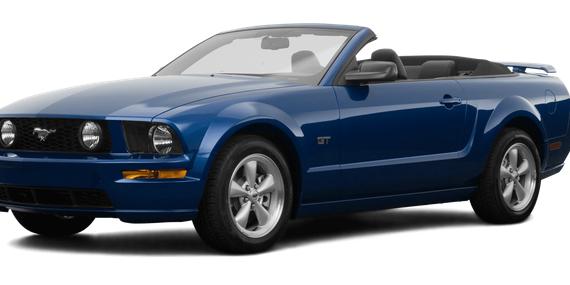 FORD MUSTANG 2008 1ZVHT85H185116682 image