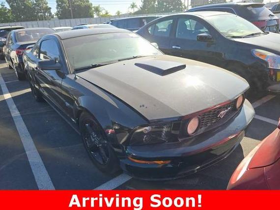 FORD MUSTANG 2008 1ZVHT82H185117108 image FORD MUSTANG 2008 1ZVHT82H185117108 image