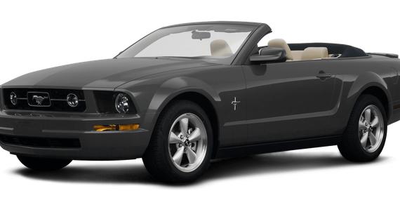 FORD MUSTANG 2008 1ZVHT84N785182144 image