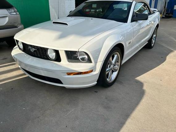 FORD MUSTANG 2008 1ZVHT85H785178300 image