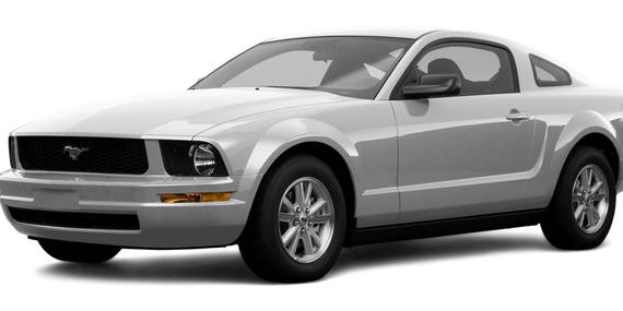 FORD MUSTANG 2008 1ZVHT80N685205631 image