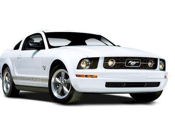 FORD MUSTANG 2008 1ZVHT82H485202282 image FORD MUSTANG 2008 1ZVHT82H485202282 image