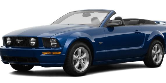 FORD MUSTANG 2008 1ZVHT85H985132872 image