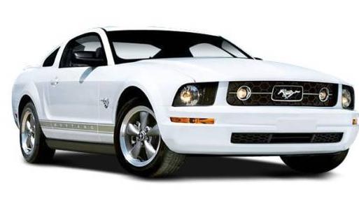 FORD MUSTANG 2008 1ZVHT80N085122258 image