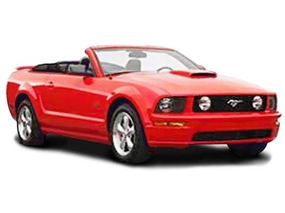 FORD MUSTANG 2008 1ZVHT84N585168047 image FORD MUSTANG 2008 1ZVHT84N585168047 image