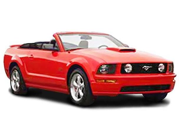 FORD MUSTANG 2008 1ZVHT89S685113606 image