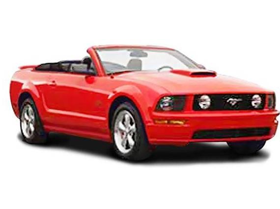 FORD MUSTANG 2008 1ZVHT84N985188401 image