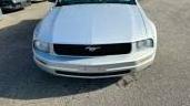 FORD MUSTANG 2008 1ZVHT80N585181337 image