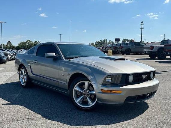 FORD MUSTANG 2008 1ZVHT82HX85188436 image