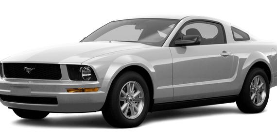 FORD MUSTANG 2008 1ZVHT80N485135577 image