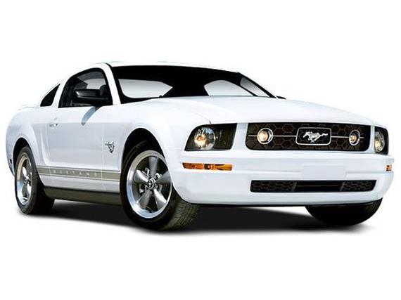 FORD MUSTANG 2008 1ZVHT82H985151894 image