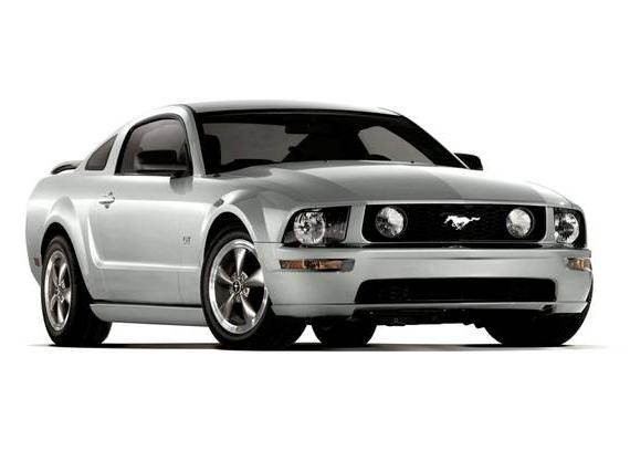 FORD MUSTANG 2009 1ZVHT80N795132884 image
