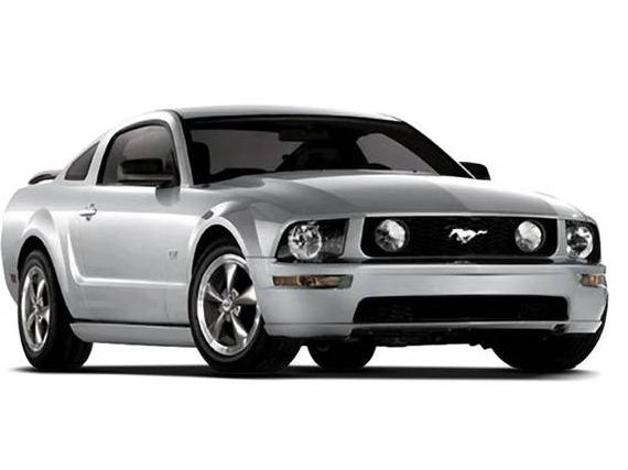 FORD MUSTANG 2009 1ZVHT80N795111002 image