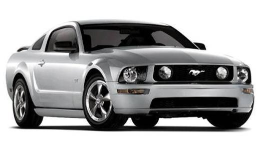 FORD MUSTANG 2009 1ZVHT82H795105692 image