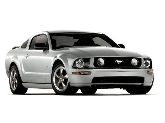 FORD MUSTANG 2009 1ZVHT80N995128206 image