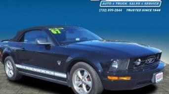 FORD MUSTANG 2009 1ZVHT84N495132819 image