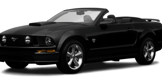 FORD MUSTANG 2009 1ZVHT85HX95109134 image