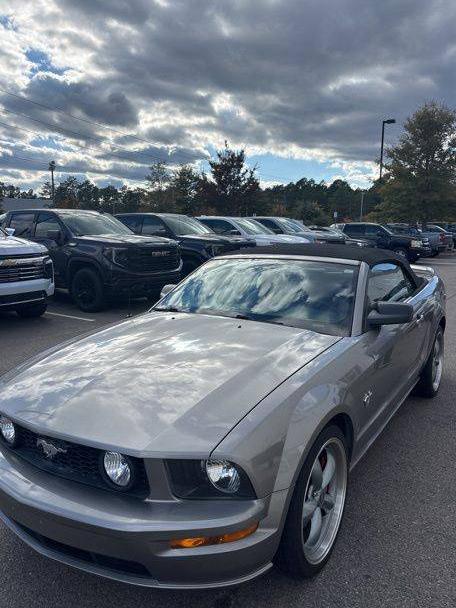 FORD MUSTANG 2009 1ZVHT85H995143386 image