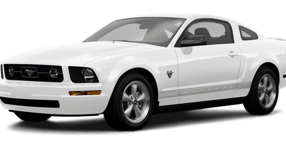 FORD MUSTANG 2009 1ZVHT80N195141676 image