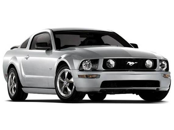 FORD MUSTANG 2009 1ZVHT82H895137745 image