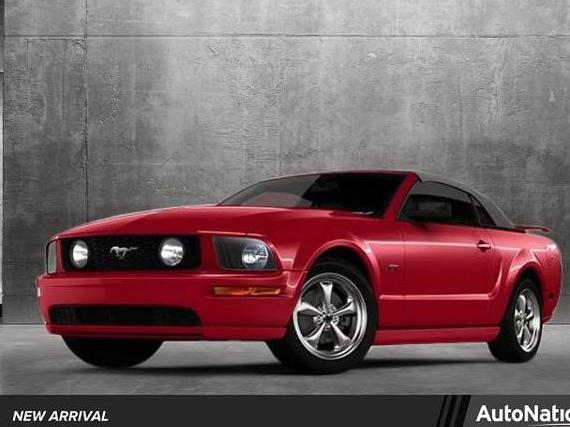 FORD MUSTANG 2009 1ZVHT84N095133501 image