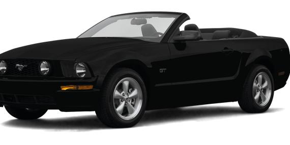 FORD MUSTANG 2007 1ZVFT85H075297084 image