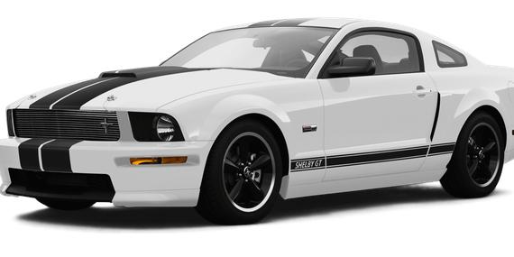 FORD MUSTANG 2007 1ZVHT82HX75320030 image