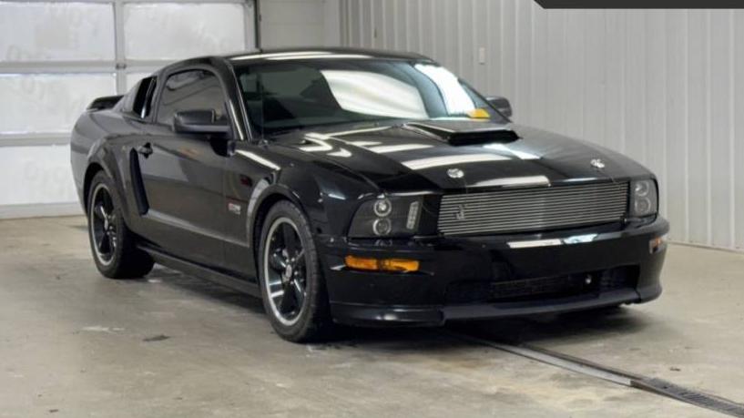 FORD MUSTANG 2007 1ZVHT82H375360207 image