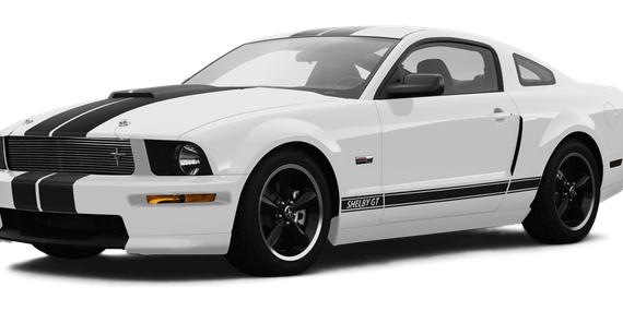 FORD MUSTANG 2007 1ZVFT82H375300886 image