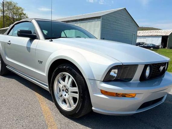 FORD MUSTANG 2007 1ZVFT85H075214379 image