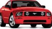 FORD MUSTANG 2007 1ZVHT82H275255951 image