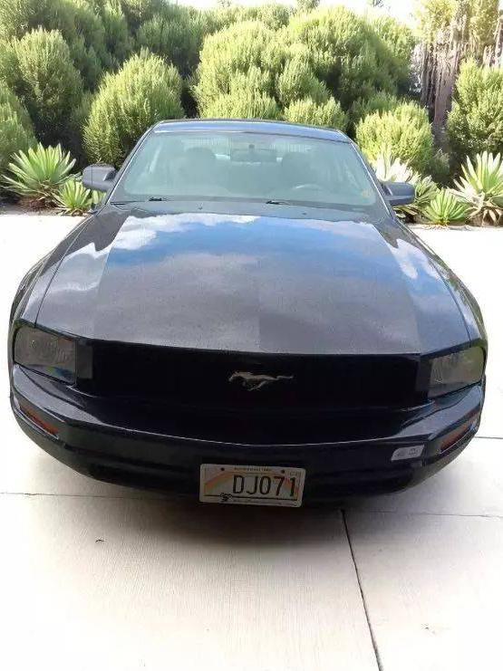 FORD MUSTANG 2007 1ZVFT80N175336956 image