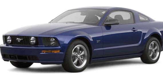 FORD MUSTANG 2007 1ZVHT88S275225481 image