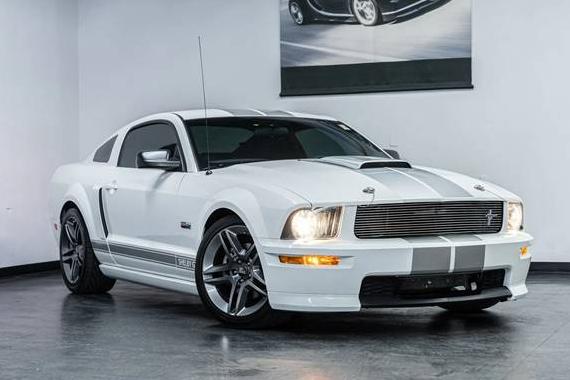 FORD MUSTANG 2007 1ZVHT82H775304710 image