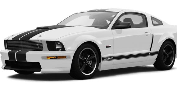 FORD MUSTANG 2007 1ZVHT82H875229662 image