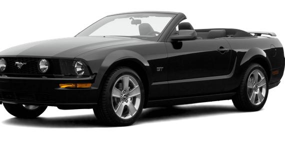 FORD MUSTANG 2007 1ZVHT89S975333062 image