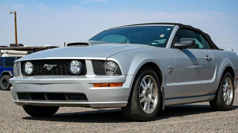 FORD MUSTANG 2007 1ZVFT85H875224920 image