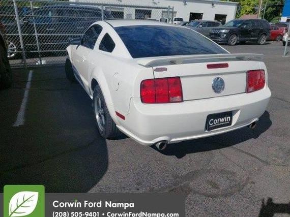FORD MUSTANG 2007 1ZVHT82H375203485 image