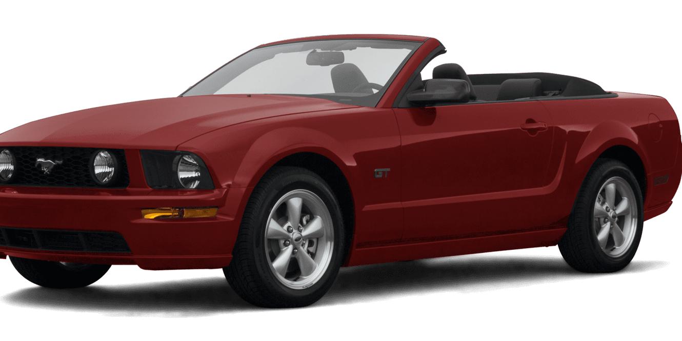 FORD MUSTANG 2007 1ZVHT85H575220333 image