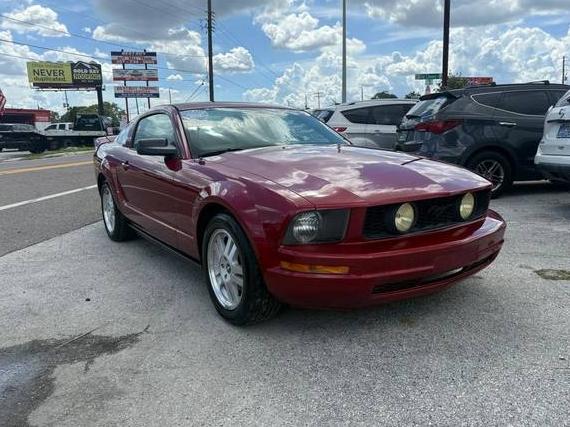 FORD MUSTANG 2007 1ZVFT80N675240465 image