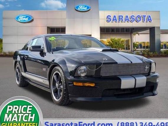 FORD MUSTANG 2007 1ZVHT82H975335876 image