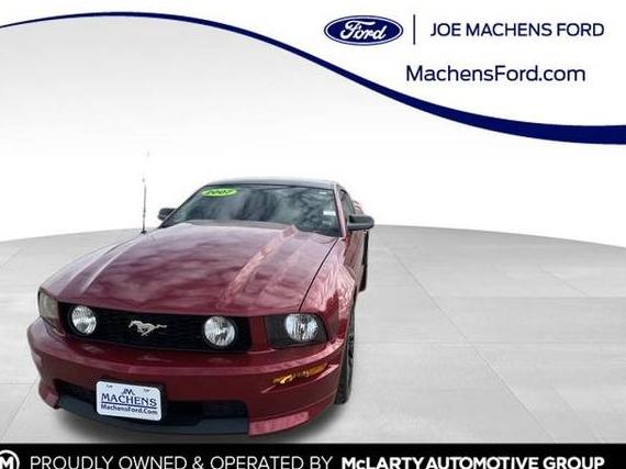 FORD MUSTANG 2007 1ZVHT82H275197744 image